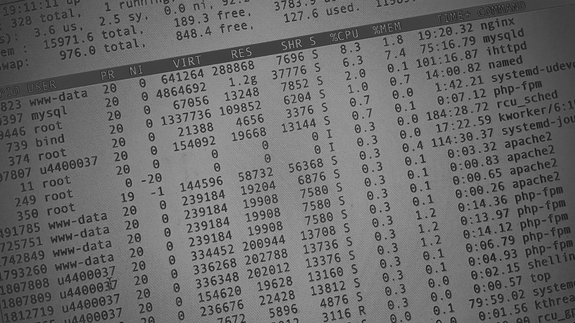 Настройка сервера в Алзамае