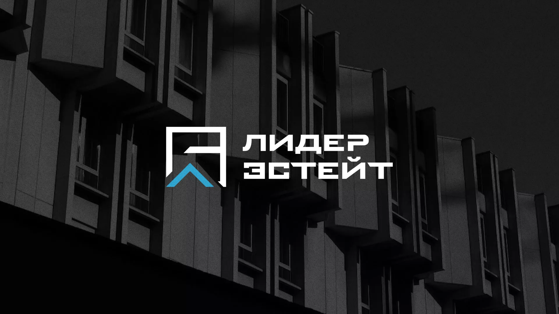Разработка логотипа агентства недвижимости «Лидер Эстейт» в Алзамае